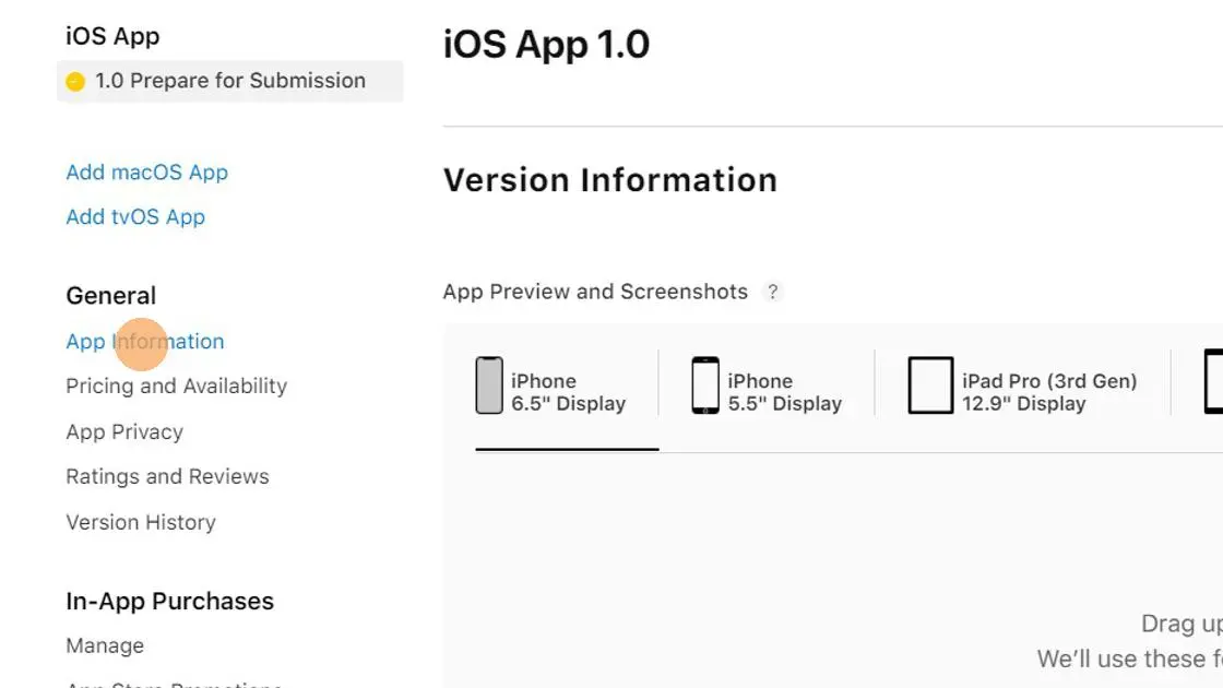 Clicca su 'Informazioni sull'applicazione' (App Information).