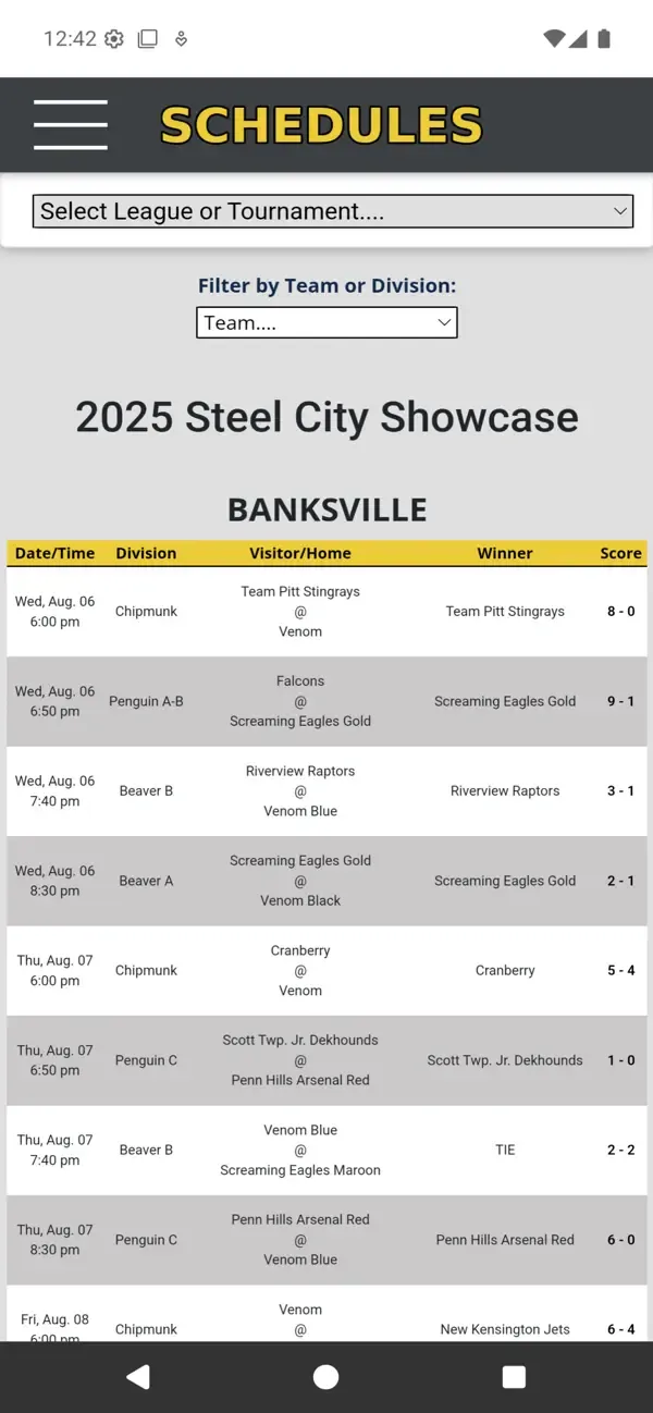 Graphic showing a screenshot of the Shirey Tournament Tracker app that we developed based on the respective website